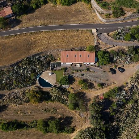 Finca En El Corazon De La Isla Tejeda Kültér fotó